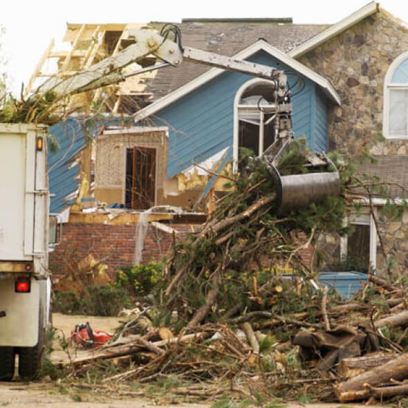 A man surveying a downed tree